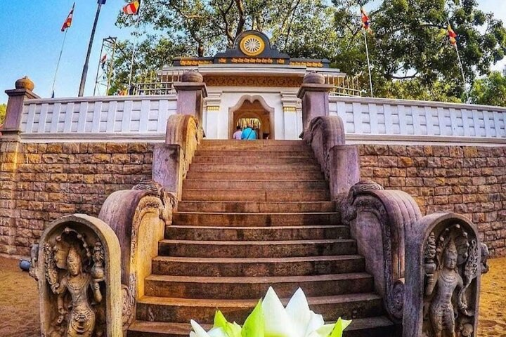 Jaya sri maha Bodhi tree